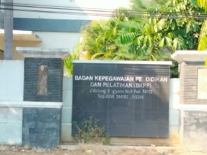 Apa Iya? Sudah Tidak Ada Pendaftaran Tenaga Honorer, Ini Penjelasanya