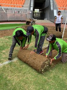 JakPro Mulai Bongkar Rumput JIS Sesuai Rekomendasi FIFA