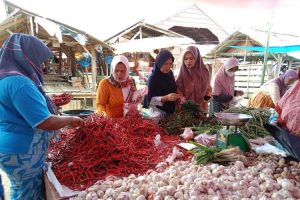 Padang Pariaman upayakan jadi wilayah produsen bibit kelapa unggul