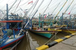 Tangkapan ikan tuna nelayan Lebak Capai 80-100 Ton/Bulan