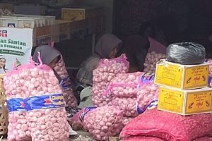 Atasi Kenaikan Harga, Lampung Naikkan Produksi Dan Diversifikasi Pangan