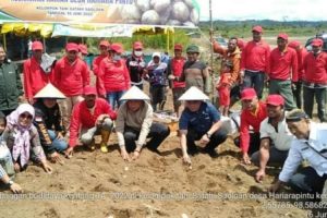 Pemprov Beri Bantuan Pupuk Kepada Petani Di Samosir