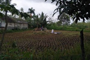 DPRD Lombok Tengah: Eksekutif perlu menaikkan NJOP