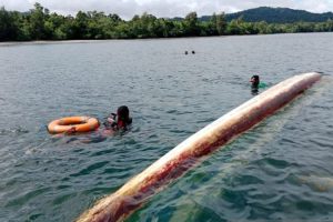 Kecelakaan Kapal Mesin di Teluk Wondama, 1 Orang Tewas