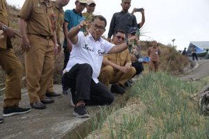 Sulbar persiapkan Majene sebagai pusat pengembangan Food Estate