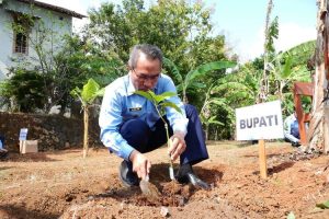Bantul kembangkan wilayah Selopamioro sebagai kawasan food estate