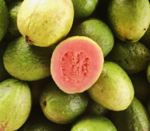 Tips Merawat Buah Jambu Agar Bebas dari Serangan Ulat