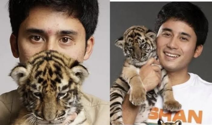 Alshad Ahmad Ungkap Penyebab Kematian 7 Anak Harimau yang Dirawatnya