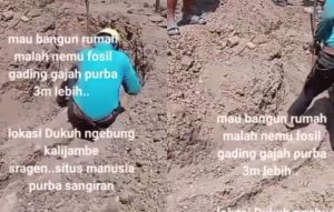 Warga Sreagen di Hebohkan dengan Penemuan Gading Gajah Purba