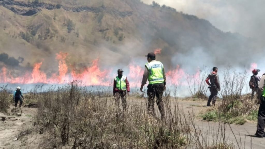 Penentapan Menejer WO Menjadi Tersangka Terbakarnya Bukit Teletubbis Bromo