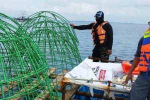 PT Timah Gandeng UBB Tenggelamkan 1.920 Terumbu Karang Buatan adi Bangka Belitung