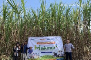 Petani dukung program Makmur tingkatkan produksi tebu di Jember