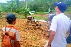 Pemkab Gumas Kalteng kembangkan pertanian cabai rawit tekan inflasi