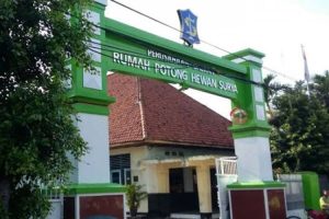 DPRD Surabaya soroti pengajuan penyertaan modal RPH senilai Rp2 miliar