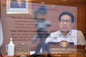 Mendes PDTT nilai Dana Desa dapat kendalikan inflasi desa