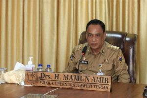 Sulteng jadikan lima kabupaten sebagai sentral pengembangan padi