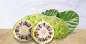 Bebarapa Manfaat Buah Mengkudu yang Terkenal Memiliki Bauh Menyengat