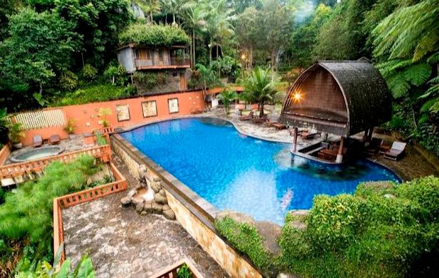 Referensi Tanaman yang Cocok Ditanam di Dekat Kolam Renang