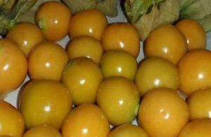 Manfaat Buah Ceplukan untuk Kesehatan Jantung