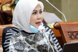 Anggota DPR: Generasi muda dapat akses bantuan usaha di K/L