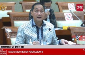 Pemerintah Pastikan Harga Minyak Goreng Curah Rp14.000 Per Liter