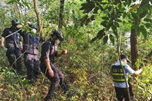 Pencarian China Eastern Dipimpin Langsung Wakil PM