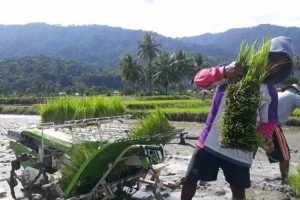 Pemprov Sulteng Dukung Program Perkampungan Industri Pangan