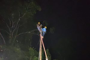 39.106 Pelanggan PLN Terdampak Cuaca Ekstrem di Pulau Sumbawa