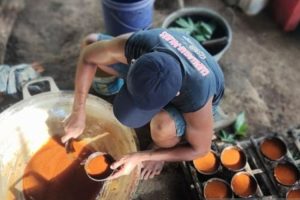 Pelatihan Pendampingan Diperlukan Para Pelaku UMKM