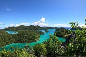 Otsus Papua Barat Diharapkan Bisa Beri Kewenangan Bagi Pemda