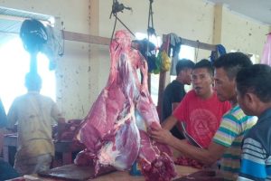 Lonjakan Harga Daging Sapi Di Ternate Capai Rp150 Ribu/Kg