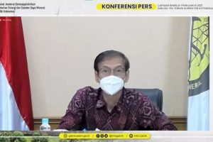 Pemerintah Dorong Peningkatan Akses Energi Negara Berkembang