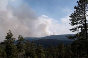 Kebakar Hutan Terbesar AS, Api dari New Mexico Dekati Las Vegas