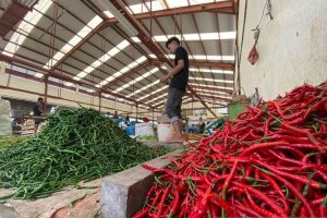 Lonjakan Harga Cabai dan Bahan Pokok di Aceh Naik Jelang Idul Fitri