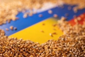 Benih-benih Tanaman Ukraina Terancam Punah Gara-gara Perang