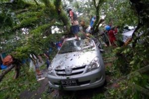 Pohon Tumbang Akibatkan Satu Orang Tewas Saat Badai Di Kosovo