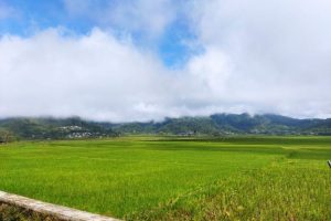 Pemkab Dorong Poktan Rehabilitasi Sumber Air di Manggarai Barat