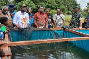 Pelatihan Masyarakat Nduga Didampingi Langsung Babinsa Kodim 1715/Yahukimo