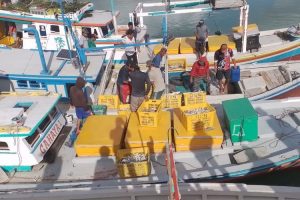 Produksi ikan di PPN Sungailiat capai 2.790 ton