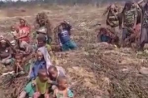 Penanganan Dampak Cuaca Ekstrem Lanny Jaya Dipastikan KSP Berjalan Baik
