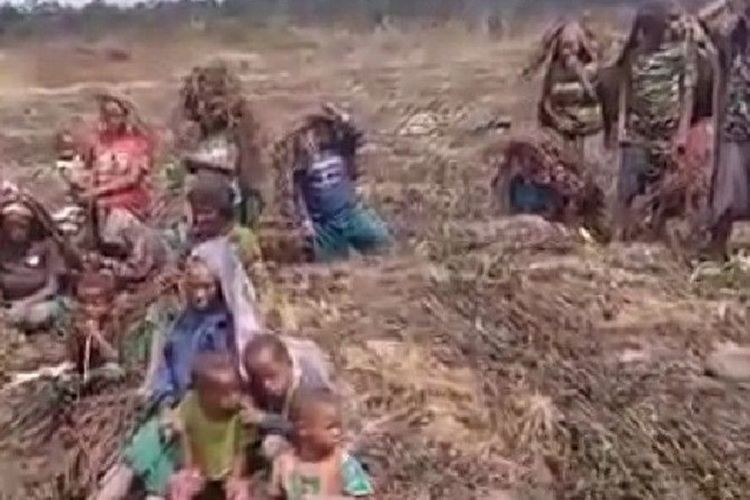 Penanganan Dampak Cuaca Ekstrem Lanny Jaya Dipastikan KSP Berjalan Baik