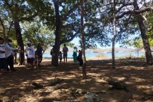 Kunjungan wisatawan asing ke Labuan Bajo meningkat pada Agustus 2022