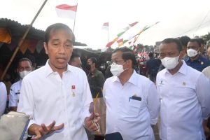 Presiden apresiasi potensi pangan Kepulauan Tanimbar diserap lokal