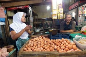 Harga telur ayam di Jember perlahan mulai turun