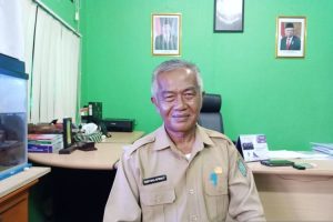DKPP Belitung: Harga pakan picu kenaikan harga telur ayam