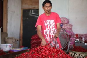 Harga cabai merah di Banda Aceh turun jadi Rp100 ribu per Kg