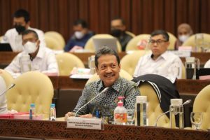 Fisheries Ministry receives 2023 budget of Rp6.7 trillion