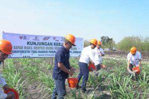 Kementerian BUMN terus dorong Perhutani tingkatkan produksi gula