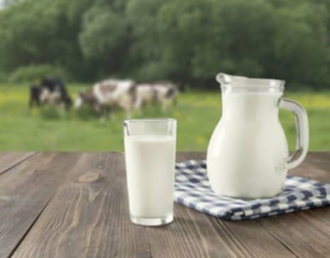 Tips dan Cara Aman Konsumsi Susu Kambing