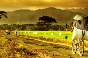 Desa Diminta Segera Ajukan Syarat Penyaluran Dana Desa 2022